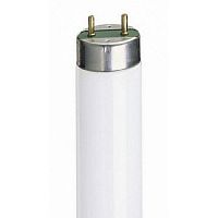 Лампа светодиодная PLED T8 G13 10Вт 6500К JazzWay картинка 